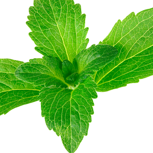 Stevia