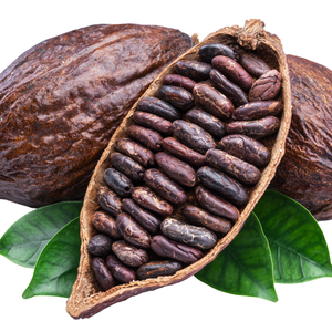 Cacao
