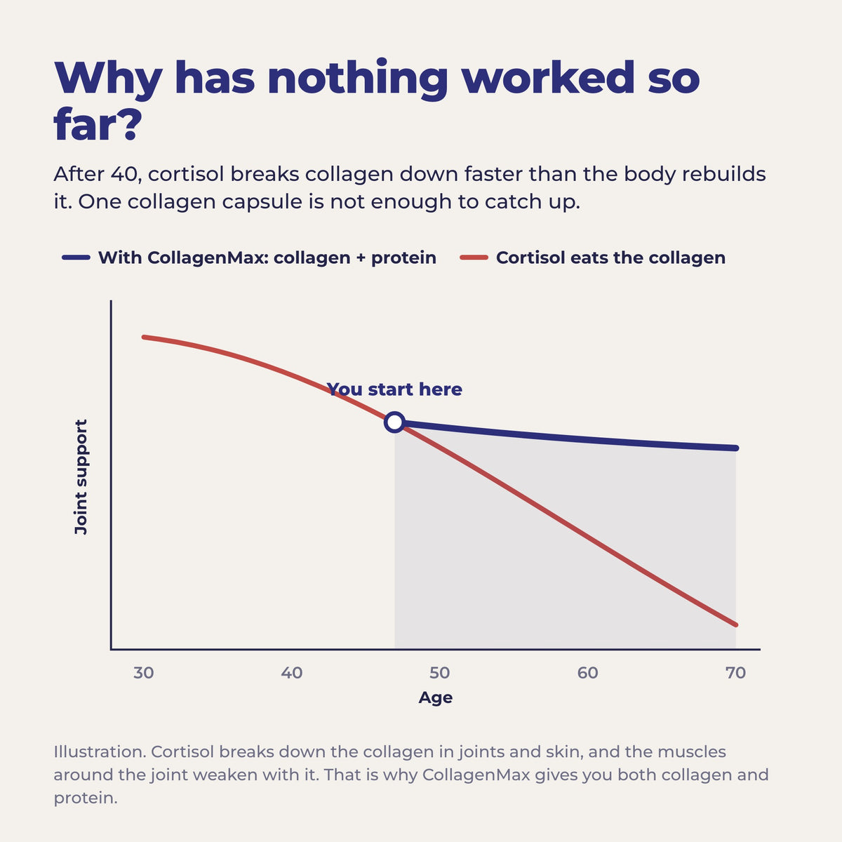 Why nothing has worked so far: cortisol breaks collagen down