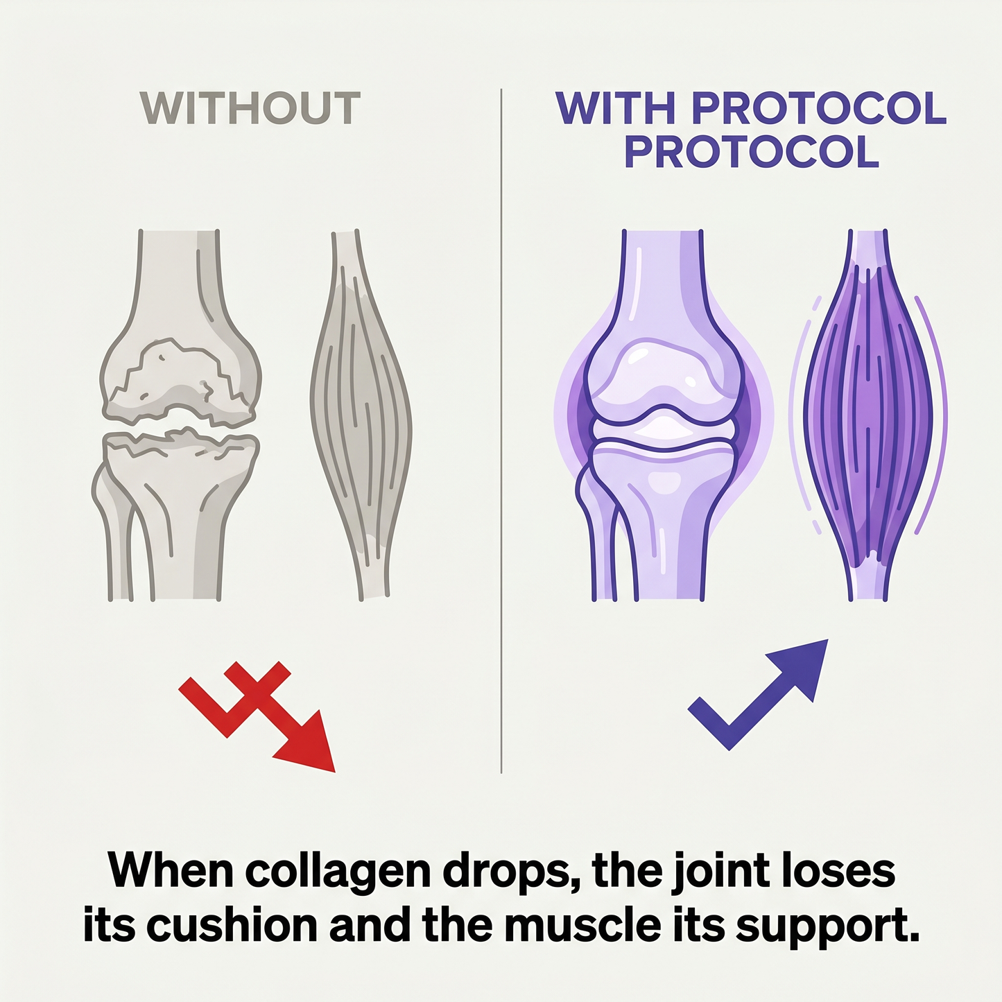 ProtoCol Collagen + Protein